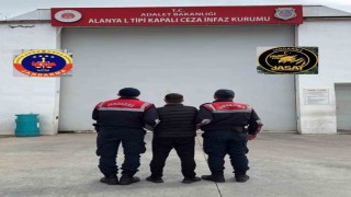 Alanyada 20 yıl kesinleşmiş hapis cezası bulunan hükümlü yakalandı