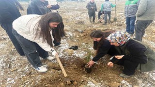 Altıntaşta lise öğrencileri fidan dikti