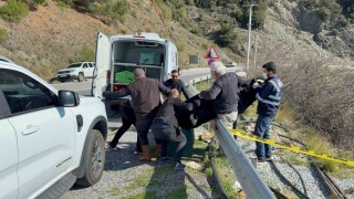 Antalyada karayolu kenarında cesedi bulunan kadının kimliği belli oldu