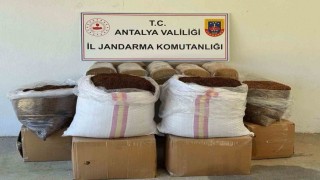 Antalyada yolcu otobüsünde yarım ton kaçak tütün ele geçirildi