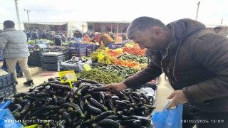 Antalyadaki olumsuz hava şartları patlıcanın tadını kaçırdı