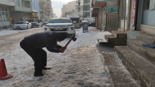 Ardahanda dondurucu soğuk ağaçları kırağıyla kapladı