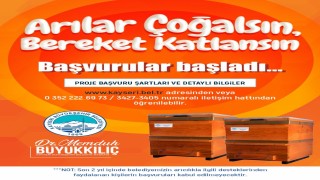 Arılar Çoğalsın, Bereket Katlansın projesine başvurular başladı