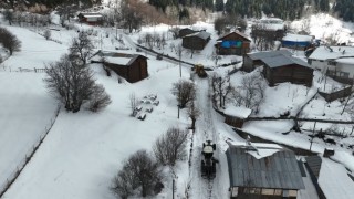 Artvin Orman Bölge Müdürlüğünden karla mücadeleye destek