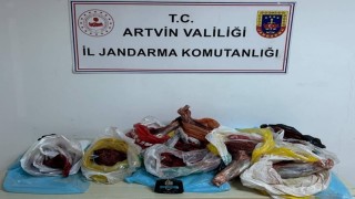 Artvinde 60 kilo yaban domuzu eti ele geçirildi