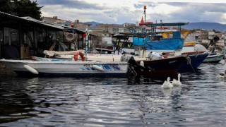 Balık sizden, mazot bizden