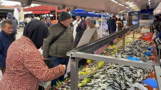 Balık tezgahlarında hamsi yok, vatandaş diğer balıklara yöneldi
