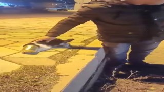 Başına konserve sıkışan kedi kurtarıldı