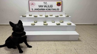 Başkalede 20 kilo 250 gram toz esrar maddesi ele geçirildi