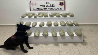 Başkalede 21 kilo 350 gram skunk ele geçirildi