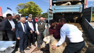 Başkan Büyükkılıçtan tarım ve hayvancılıkta 1 yılda 119 milyon TLlik yatırım hamlesi