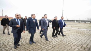 Başkan devreye girdi, canlı hayvan pazarı yeniden açıldı