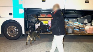 Batmanda narkotik köpeği Hector zehir tacirlerine geçit vermedi