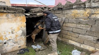 Batmanda okul çevrelerinde narkotik denetim