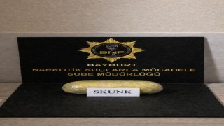 Bayburtta 219 gram skunk ele geçirildi