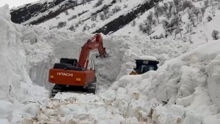 Beytüşşebapta çığ alarmı