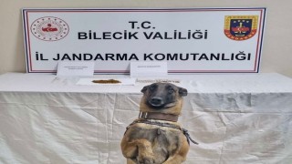 Bilecikte uyuşturucu operasyonu: 1 gözaltı