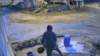 Bir bidon sütü deviren gencin çaresiz anları kamerada