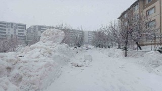 Bitliste kar yağışı yeniden etkili olmaya başladı