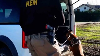 Boluda 11 farklı adrese uyuşturucu operasyonu