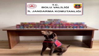 Boluda 150 adet elektronik sigara ele geçirildi