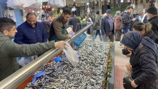 Boluda hamsi bolluğu sürüyor: Kilosu 200 liradan rağbet gördü
