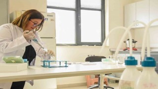 BŞEÜden dünyanın en saygın dergilerinden Food Chemıstryde bir yayın daha
