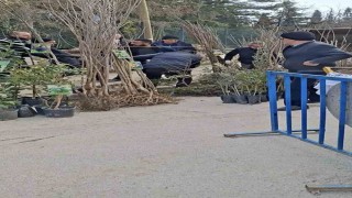 Bursada seyyar satıcılardan zabıtaya bıçaklı saldırı, 1 zabıta yaralandı