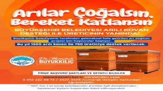 Büyükşehirden Arılar Çoğalsın, Bereket Katlansın Projesi