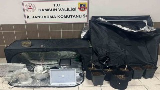 Çarşambada jandarmadan uyuşturucu operasyonu