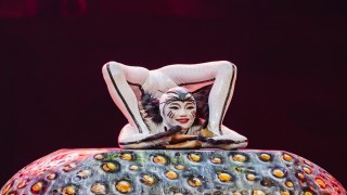 Cirque du Soleilin böceklerin dünyasını anlatan dev yapımı İstanbulda sahne alacak