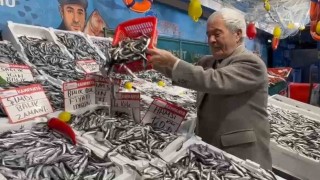 Deniz bereketi tezganlara yansıdı: Hamsi fiyatları dibe indi