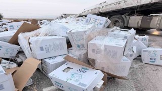 Devrilen tırdaki 25 ton süt çevreye dağıldı