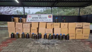 Didimde tağşiş zeytinyağı operasyonu: 2 bin 932 litre zeytinyağı ele geçirildi