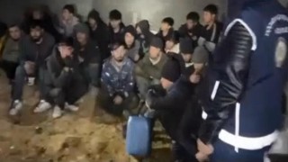 Diyarbakır merkezli göçmen kaçakçılığı operasyonu: 115 düzensiz göçmen yakalandı