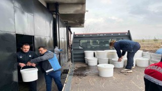 Diyarbakırda 5 işletmede ele geçirilen 460 kilogram peynir imha edildi