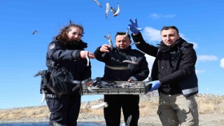 Doğunun gizli denizinde şefkat eli: Polis ekipleri martı ve tavşanları unutmadı