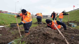 Düzcede parklarda alt yapı çalışmaları sürüyor