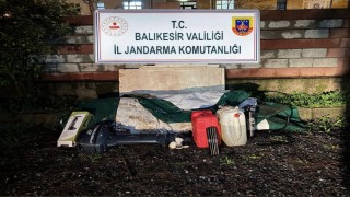 Düzensiz göçmenler zeytinlik alanda yakalandı