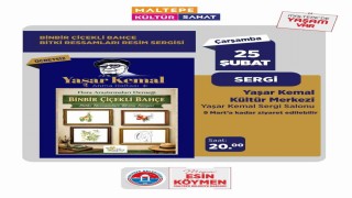 Edebiyatın büyük ustası Yaşar Kemal Maltepede anılacak