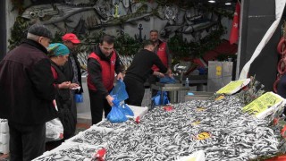 Edirnede hamsinin kilosu 50 liraya düştü, tezgahlar şenlendi
