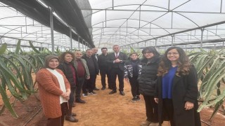 Efelerde Pitaya Güçleniyor projesi incelendi