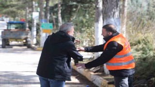 Elazığ Belediyesinden vatandaşlara ücretsiz fidan desteği