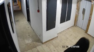 Elazığda güvenlik kameralarına zarar veren şahıs kameraya yakalandı