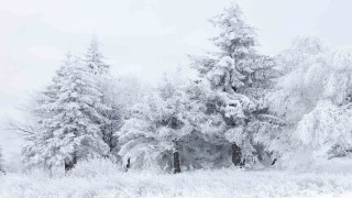 Erzincan için kuvvetli kar yağışı uyarısı