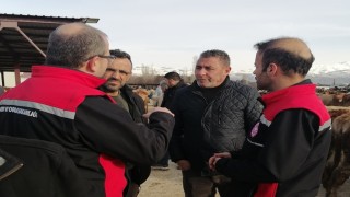 Erzincandaki kesimhanelerde yağsız kesim uygulaması başladı