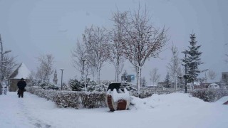 Erzurum, Erzincan ve Bayburt için kar uyarısı