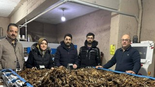 Erzurumda atık yünler yeşil dönüşümle değer kazanıyor