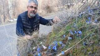 Erzurumun bir yanı kış bir yanı bahar