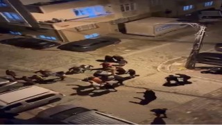 Esenyurtta gürültü nedeniyle ortalık karıştı: Ev basıp hamile kadını dövdüler